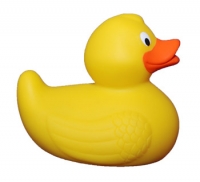 a-duck