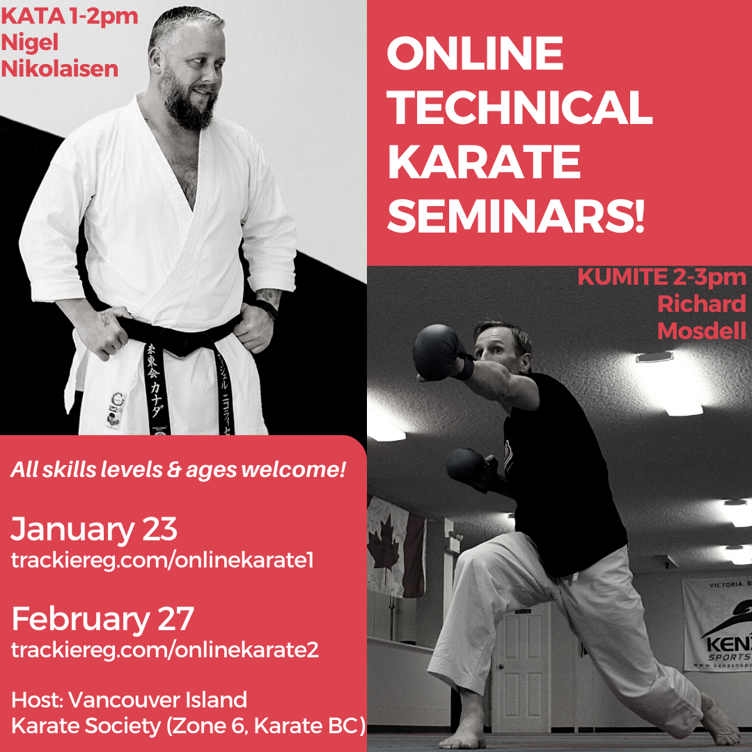 Online Technical Karate Seminars, Kata & Kumite!