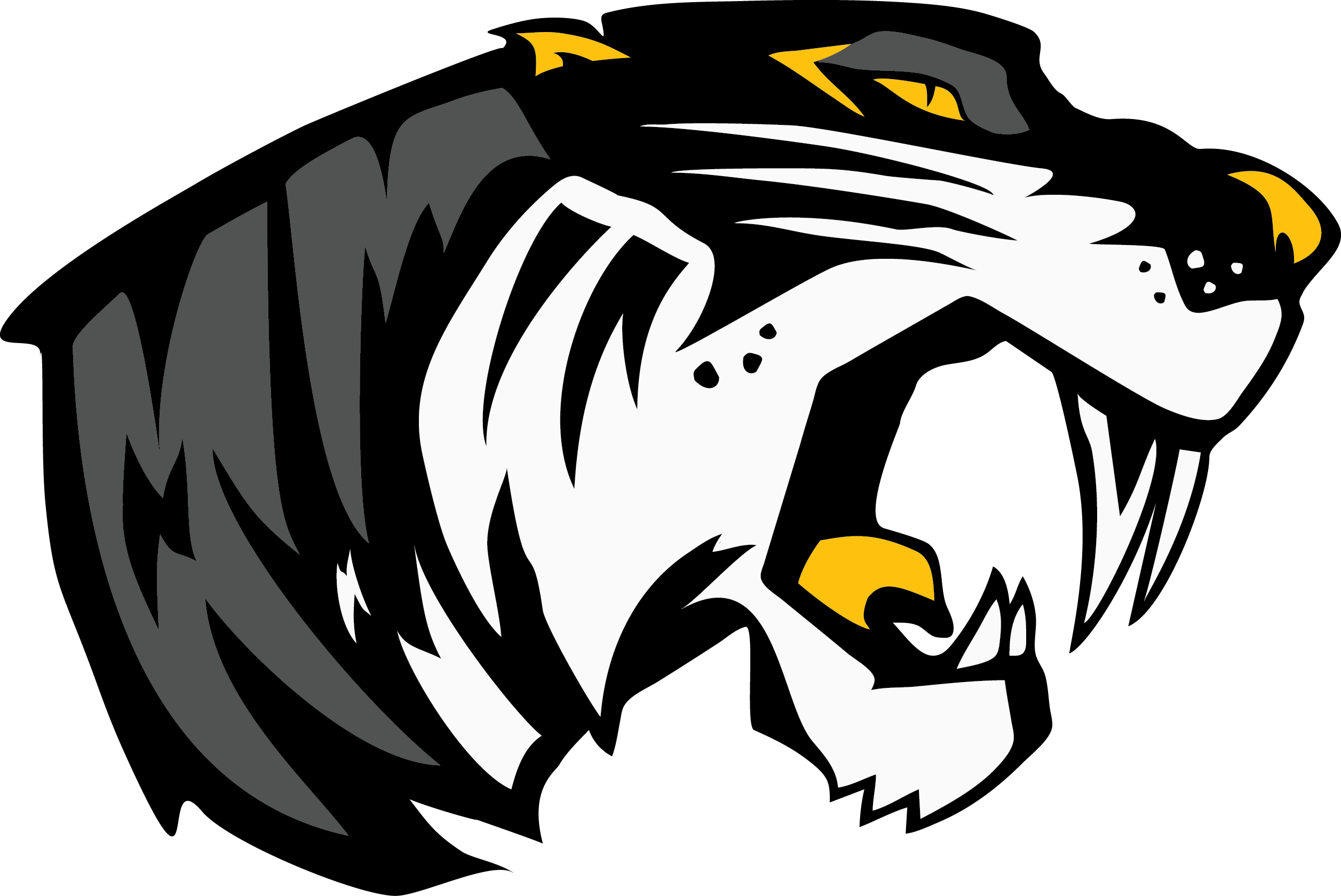 Stratford Sabrecats 2023 Club Registration - FULL YEAR COMPETITIVE