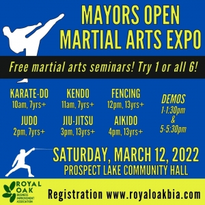 Mayors Open Martial Arts Expo 2022