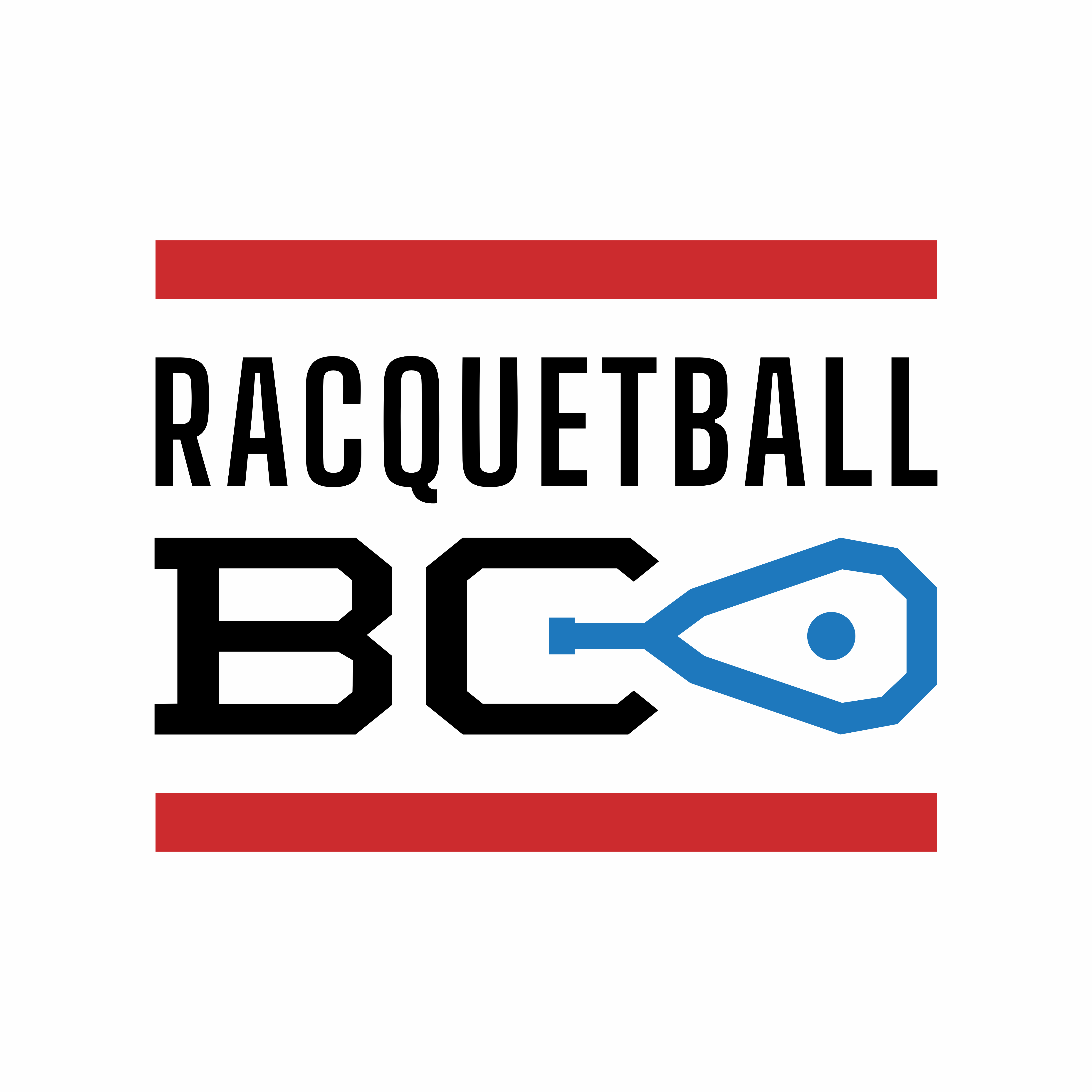 Racquetball BC Badge Program Set 1