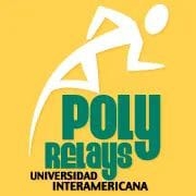 69nos  Poly Relays