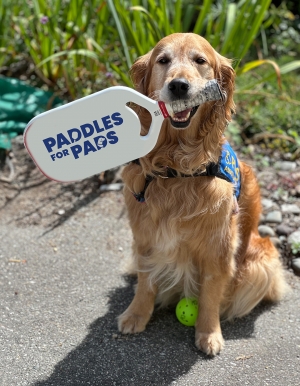 Pickleball Squamish Paddles For PADS Pickleball and Potluck Social Charity Event:     April 20, 2024 From 10 AM to 4 PM