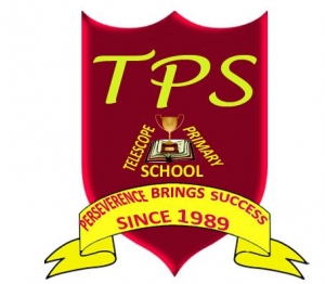 Telescope Primary School