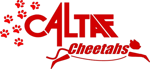 CALTAF Cheetah