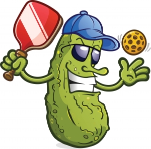 Learn to Play Pickleball (Sundays 10-11:30am)