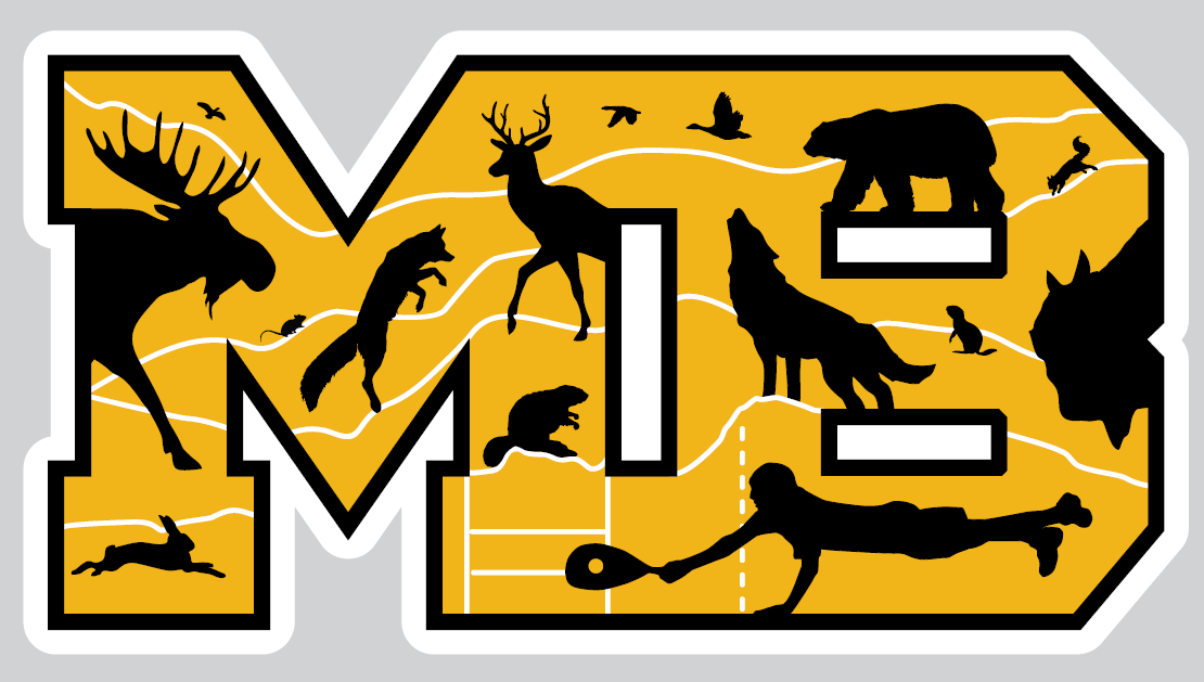 Racquetball Manitoba Provincial Championships