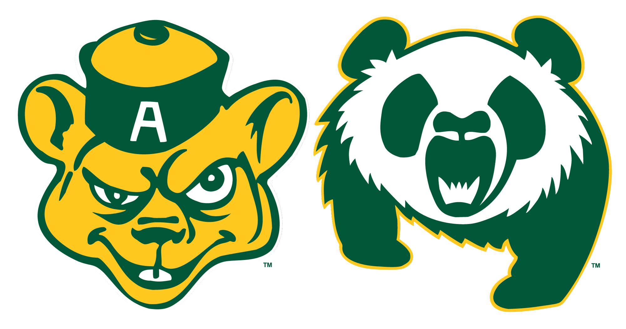 Foote Field Open