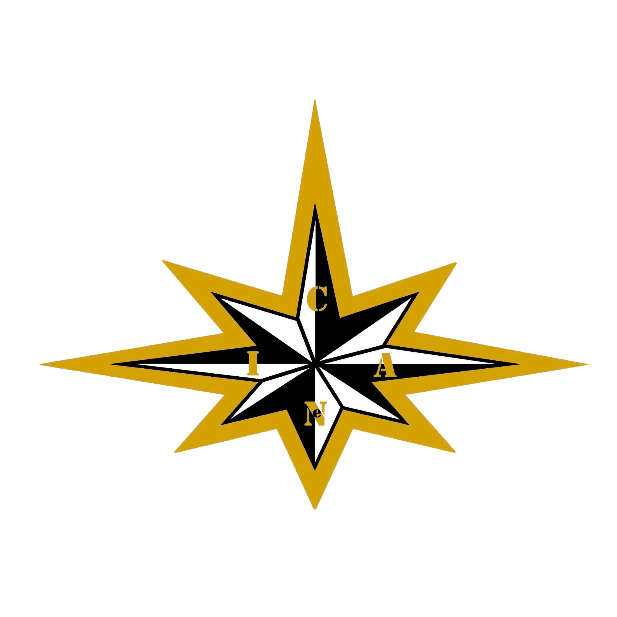 C.A.N.I Athletics Golden Stars Performance